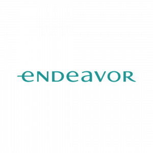 endeavor